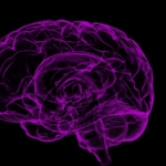 Image of brain